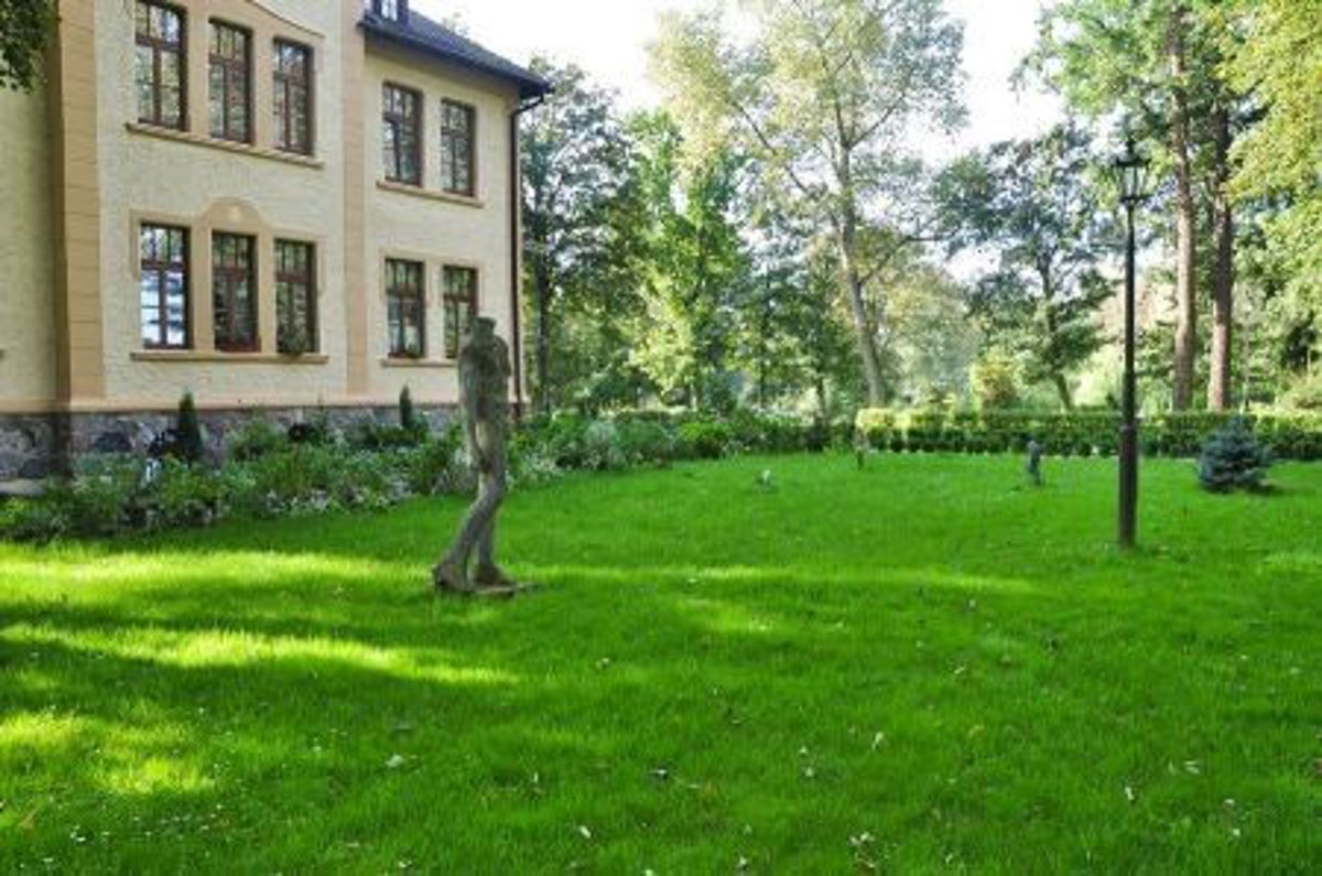 ogród / park, parking